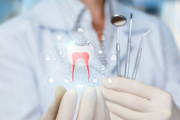 Best Traditional Braces  in Ciborne, LA