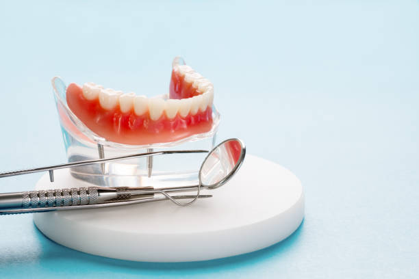 Best Traditional Braces  in Ciborne, LA